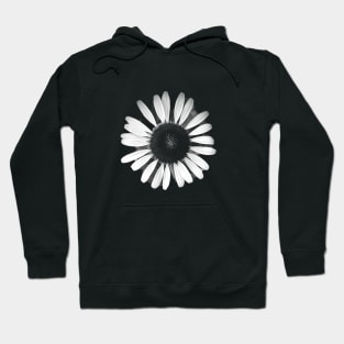 Love is the Flower You Have To Let Grow Hoodie